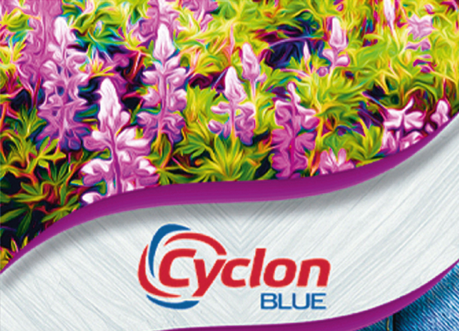Lavanda